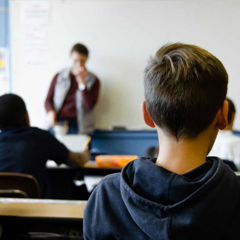 Titelbild Schulen & Bildungsanstalten Ein Schüler sitzt im Klassenzimmer, Blick zur Lehrkraft an der Tafel.
